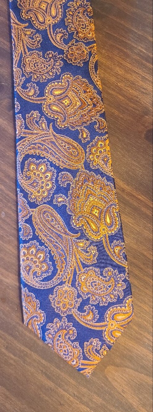 Tasso Elba  Navy and Orange Paisley Silk Tie